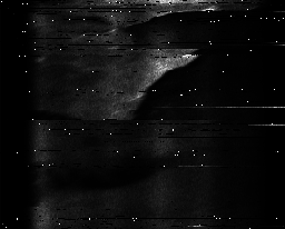 ascat_grayscale_ch2.png